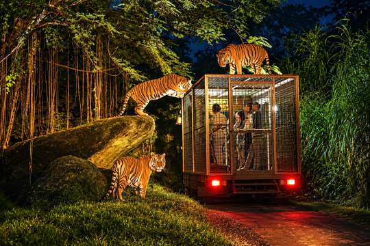 Bali Night Safari Adventure by Angkasa Travel, THB 3,399.30