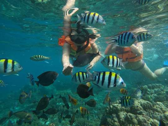 Snorkeling and Island Hopping (Gili Nanggu, Gili Sudak & Gili Kedis), THB 2,038.85