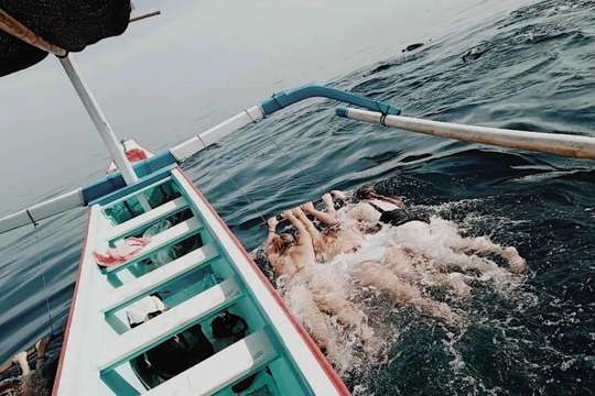 See dolphins and swim with dolphins in Lovina, 431.652 VND