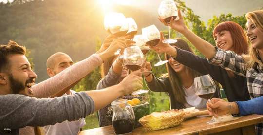 Mornington Peninsula Winery Bus Tour with Lunch from Melbourne | Victoria