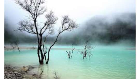 Bandung White Crater Tour - Rengganis Suspension Bridge - Phinisi Ship - Ranca upas (Deer Breeding), Rp 628.000