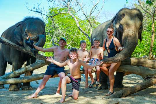 Phuket: Ethical Elephant Beach Experience Near Old Town | Thailand, 524.085 VND