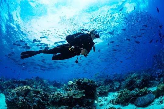 Sea Walking in Bai Tranh Beach, Nha Trang - Day Tour, ₱ 2,896.80