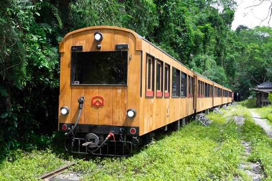 Alishan Fusen Sightseeing Train Package｜Ticket & Chinese Guide & Special Meals, RM 579