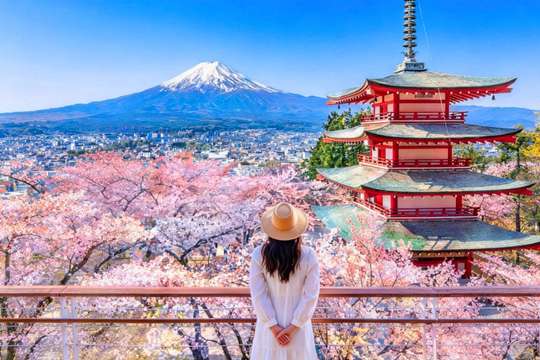 Mount Fuji: Arakurayama Sengen Park, Oshino Hakkai, Kawaguchi Lake Tour - 1 Day