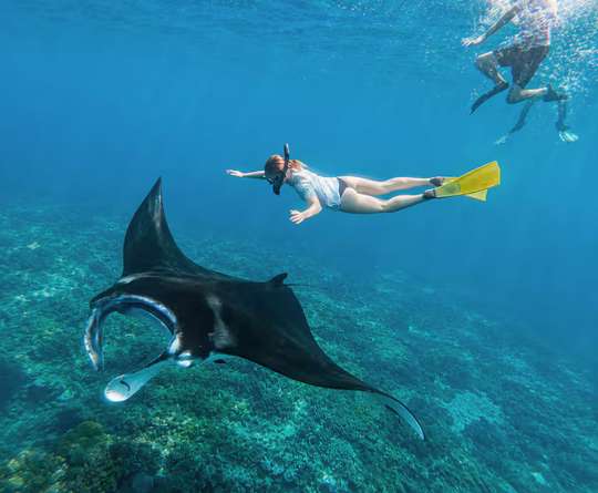 One Day Tour Nusa Penida (West with Snorkeling) by Surya Nusa Penida