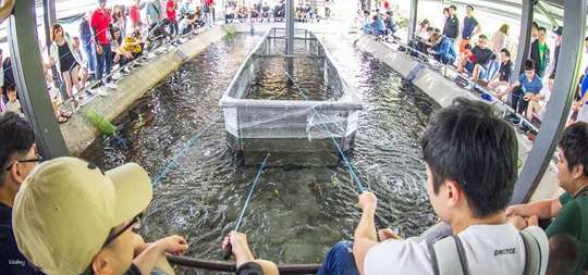 Yilan | Lanyang Crab Manor x Shrimp Fishing (Indoor Shrimp Fishing Experience) | Agri-Tourism Supermarket