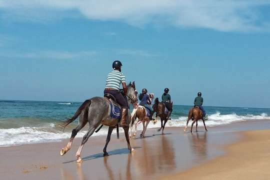 Horse Riding in Kalpitiya, 8.156.464 VND