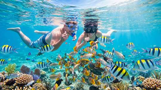 Blue Lagoon Snorkeling – Petualangan Snorkeling Terbaik di Bawah Laut Bali!, Rp 300.000