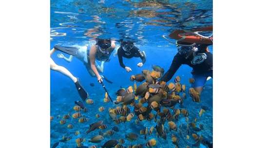 One Day Tour West + Snorkeling Nusa Penida by Bali Hoki Tour, RM 99