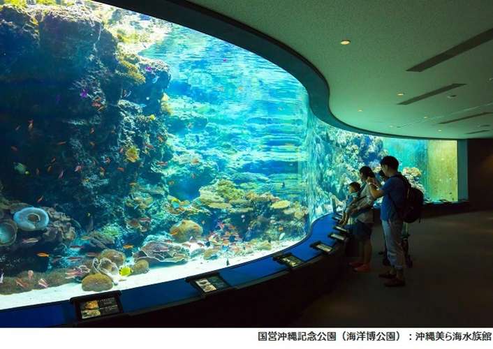 오키나와 츄라우미 수족관 1