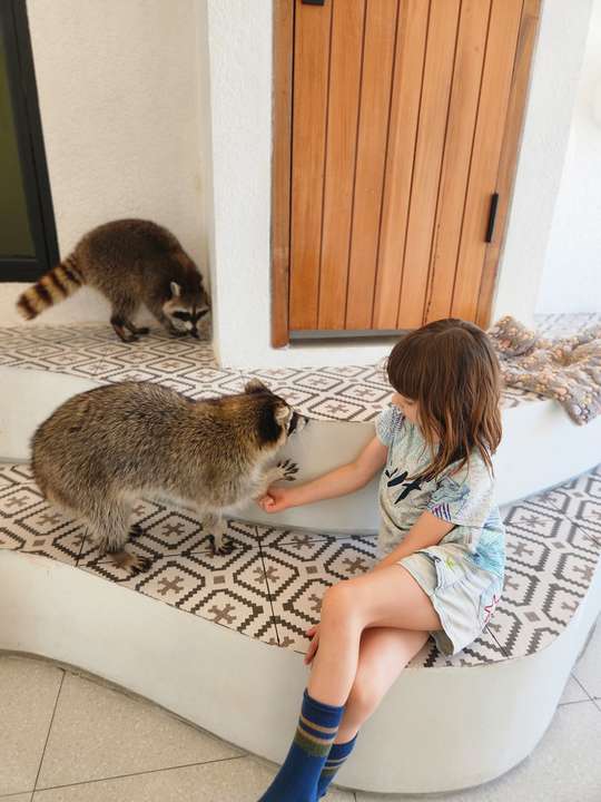 Bali Pet Nirvana Pet Cafe and Lounge, Rp 188.240