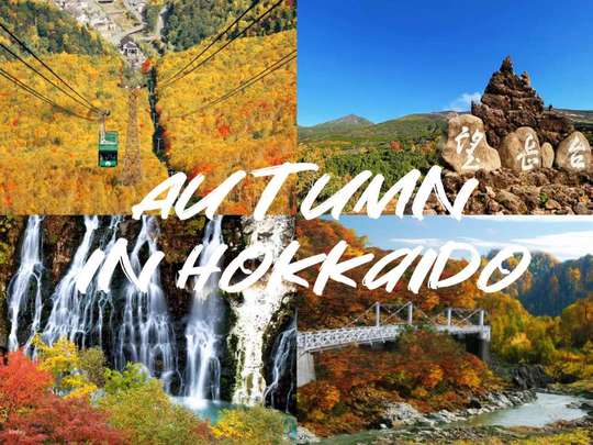 [Autumn Limited Time Offer] 2-Day Hokkaido Autumn Foliage Viewing Tour | Kamui Ancient Lake, Biei, Daisetsuzan Kurodake, Ginga Waterfalls, Mikuni Pass, and Ten Famous Autumn Foliage Viewing Spots (Departing from Sapporo)