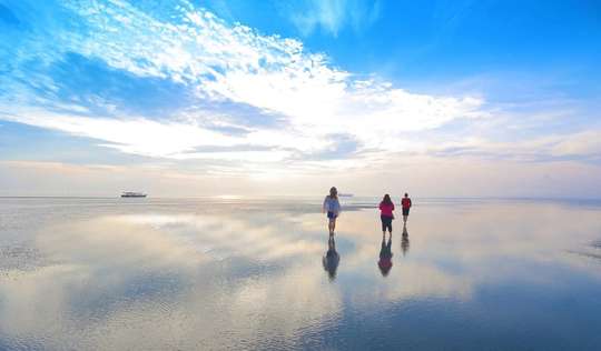 Kuala Selangor: Sky Mirror Island & Rice Field Tour