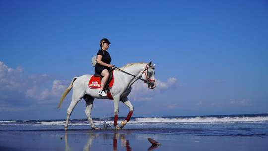 Bali Horse Riding Experience, S$54