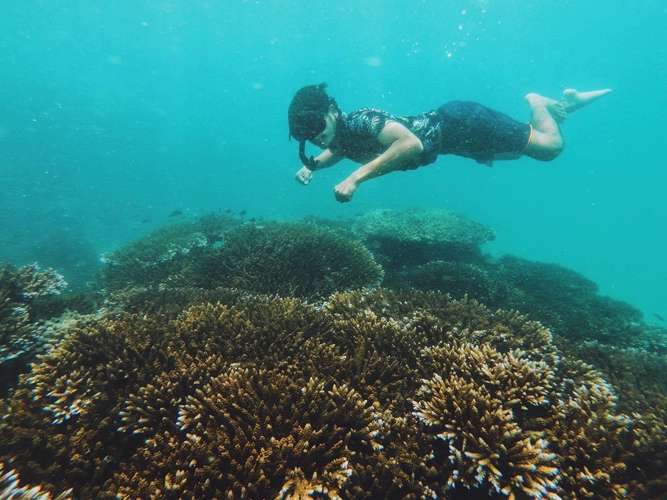 ทัวร์เกาะมายา เกาะพีพี และเกาะไม้ไผ่ โดยเรือสปีดโบ๊ท - 1 วัน 1
