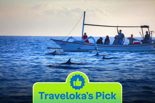 Tur Dolphin Lovina oleh Bali Best Adventure, RM 40