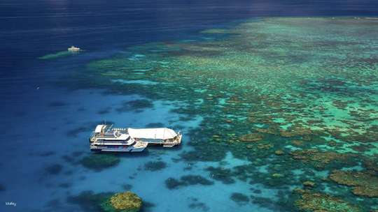 [Eco Tour] Great Adventures Cruises | Great Barrier Reef Adventure | Cairns