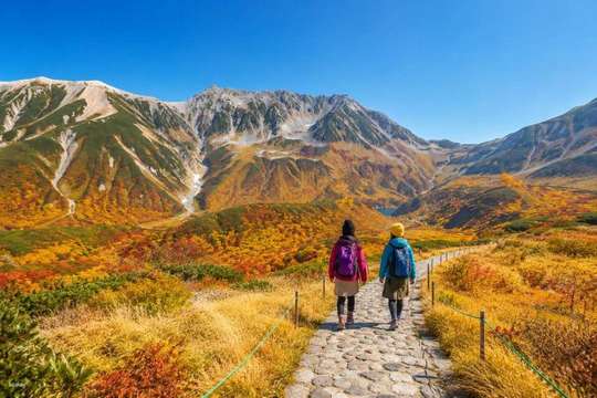 Tateyama Kurobe Alpine Route Day Trip | Includes transportation to Tateyama Kurobe (departing from Nagano)