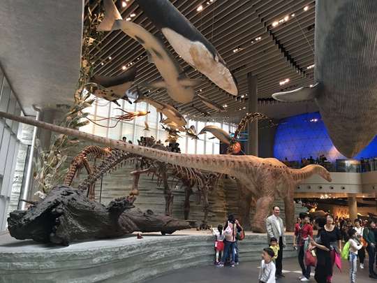 Shanghai Natural History Museum (Branch of Shanghai Science and Technology Museum) Ticket, THB 477.70