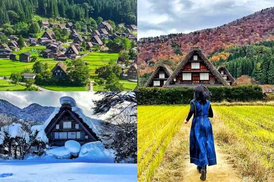 [Minimum 1 Person to Depart] Shirakawa-go Gassho Village Day Tour, Japan | Optional Direct Access to Observation Deck + Hida Takayama Old Town Tour | Departure from Nagoya