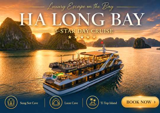Ha Long Bay | Sung Sot Cave, Titov Island 5-Star Premium Day Cruise with Buffet Lunch, Indian Food Option & Sunset Party, THB 1,165.53