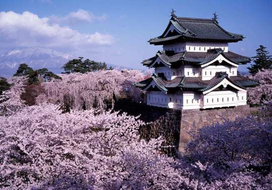 Aomori, Japan｜Aomori Customized Private Charter Car One-Day Tour｜9-seater Car