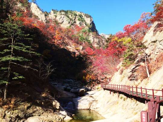 Explore Seoraksan, Nami & Morning Calm - Day Tour by Korea Time Tour