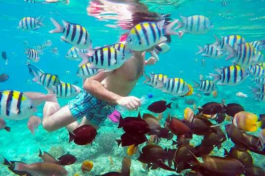 Island Hopping Snorkeling trip to 3 Gili Trawangan starting from Lombok, THB 3,495.10