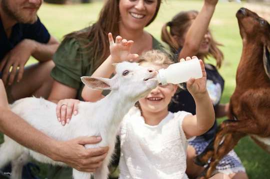 Oakvale Wildlife Park in Port Stephens | New South Wales