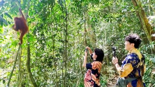7 Days 6 Nights Family Adventure in North Sumatra | Bukit Lawang - Berastagi - Samosir, S$1,436