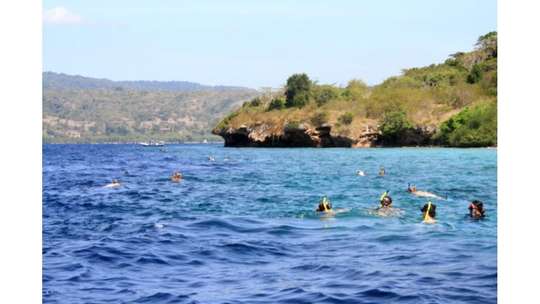 Go2 Explore Menjangan & Tabuhan Island, S$53