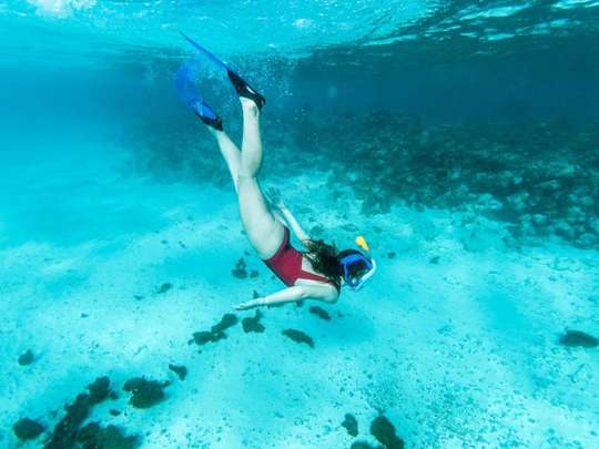 Snorkeling Menjangan Island, RM 313