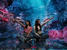 Virtual Immersive Park (VIP) JTP Tickets