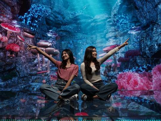 Virtual Immersive Park (VIP) JTP Tickets, Rp 40.000