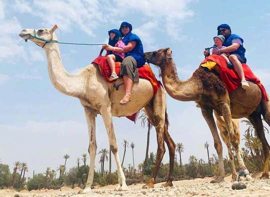 Marrakech Palmeraie Half-Day Camel Trek with Tea, RM 106
