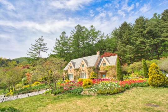 Nami Island + Gangchon Railbike + The Garden of Morning Calm One Day Tour
