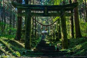 Kamishikimi Kumano · Takachiho Gorge · Ama-no-Iwato Shrine — Full-Day Tour from Fukuoka