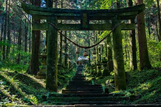 Kamishikimi Kumano · Takachiho Gorge · Ama-no-Iwato Shrine — Full-Day Tour from Fukuoka