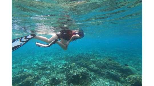 1 Day Labuan Bajo Exploring Rangko Cave & Snorkeling Sabolo By Flores Today, 1.519.000 VND