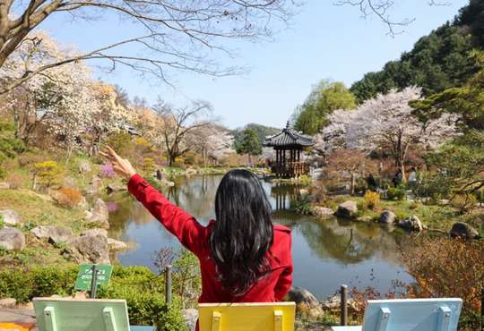 South Korea | Gangchon Railway Theme Park X Morning Quiet Arboretum