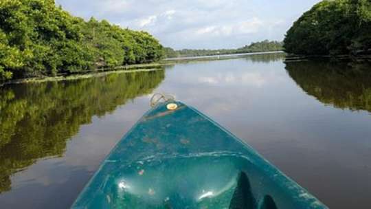 Kayaking in Mirissa