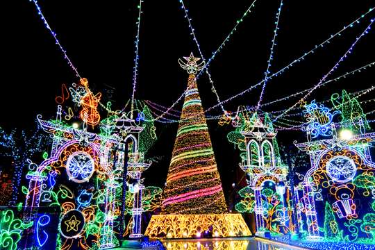 Tokyo: Sled with Mt.Fuji, Oishi Park & Sagamiko Illumination Day Tour