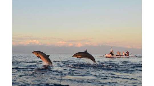 Sunrise Dolphin Watching di Pantai Lovina , RM 34