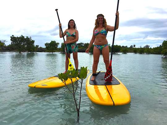 Mangrove Paddling (Cordova) with Land Transfers in Mactan Half Day Tour | Cebu Philippines, Rp 858.560
