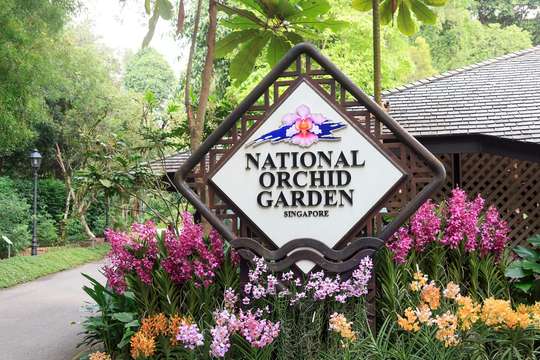 COMBO: Gardens by the Bay - Floral Fantasy + National Orchid Garden, Rp 281.130