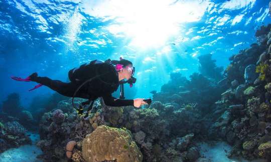 [Eco Tour] Advanced Open Water Course & Liveaboard Combo | Cairns