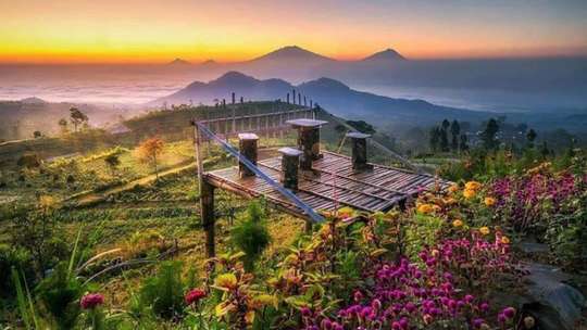 1-Day Tour Magelang // Negeri Sayur Sukomakmur - Nepal Van Java / Silancur Highlands - Senja Pagi Coffee Start Yogyakarta By Adhikaratour, 464.298 VND