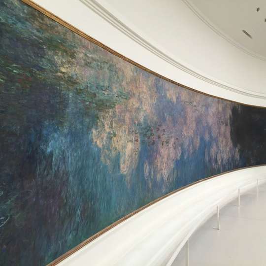 Musée de l'Orangerie: Entry Ticket