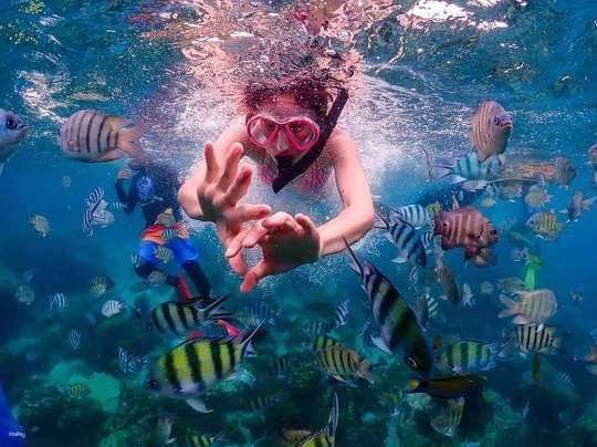 Koh Larn 1 Day Trip | Thailand